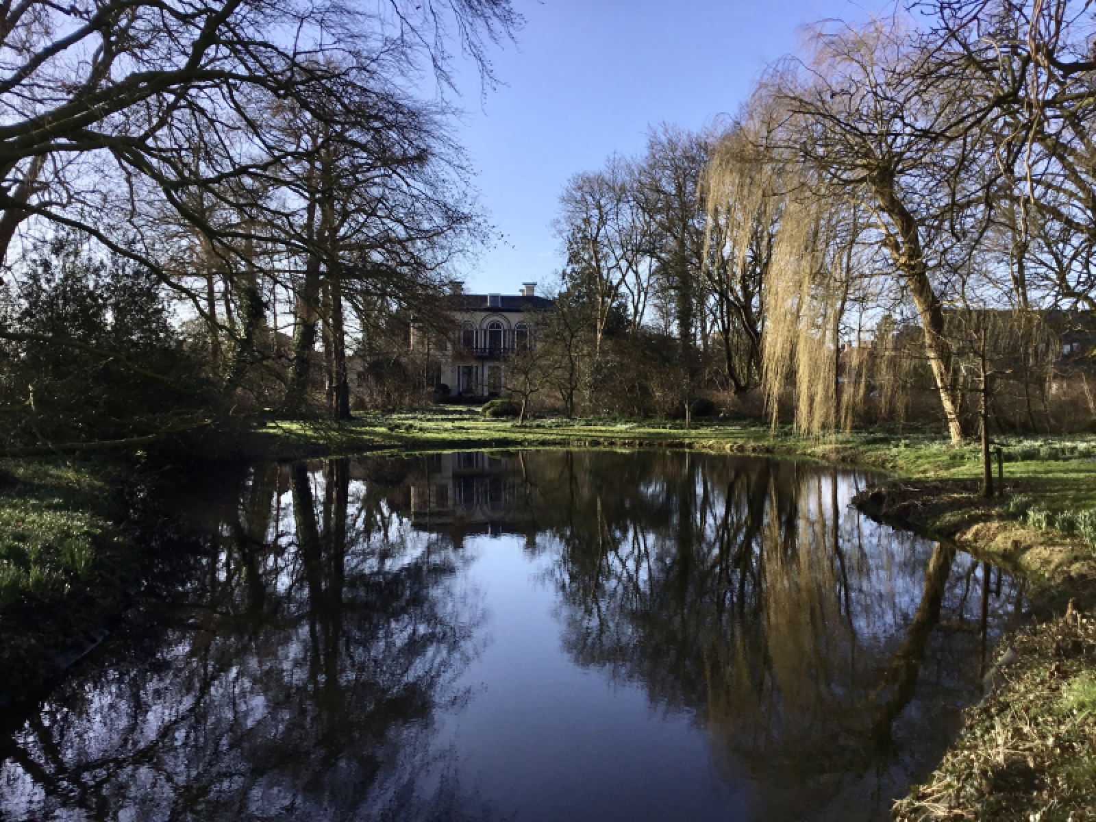 Tuin met huis spiegelent in de vijver